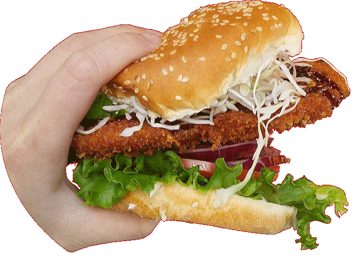 chicken katsu burger